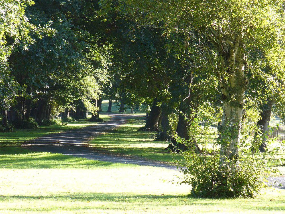 Oak Lane Lodge Hamilton Eksteriør bilde