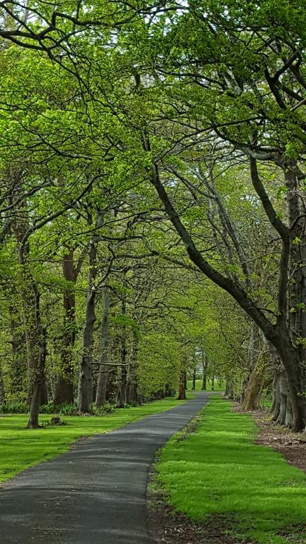 Oak Lane Lodge Hamilton Eksteriør bilde