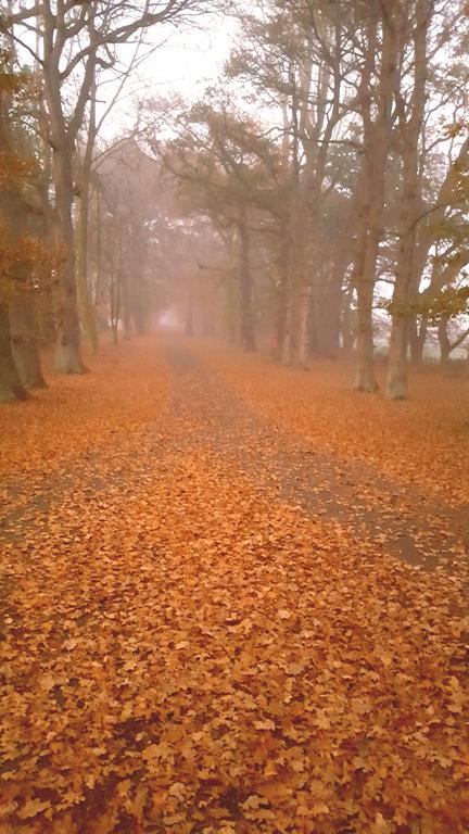 Oak Lane Lodge Hamilton Eksteriør bilde
