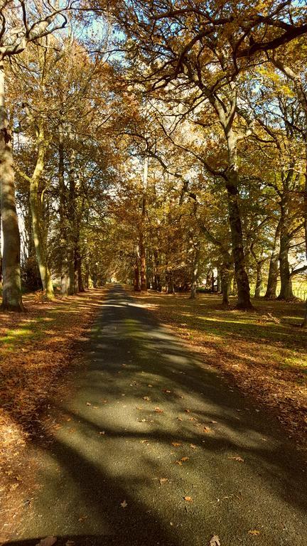 Oak Lane Lodge Hamilton Eksteriør bilde