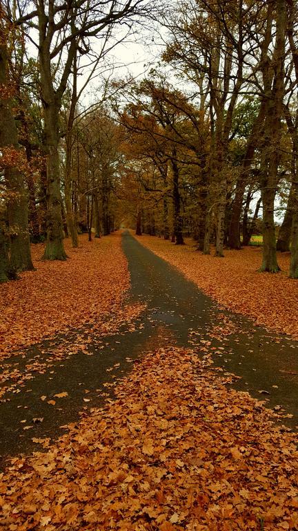 Oak Lane Lodge Hamilton Eksteriør bilde