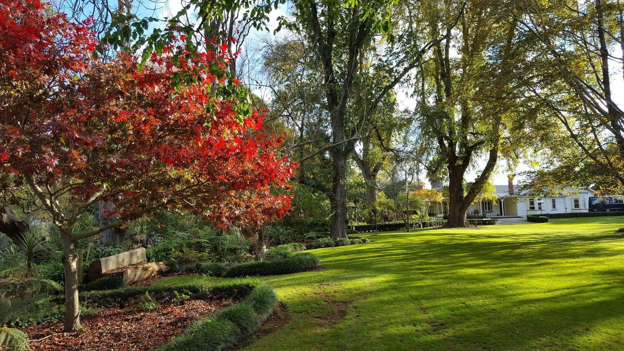 Oak Lane Lodge Hamilton Eksteriør bilde